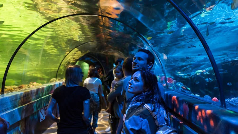 Unique Underwater Experiences